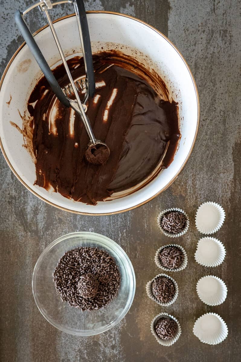 truffle rolled in chocolate sprinkles.