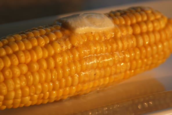 Microwave Corn on the Cob from Zestuous
