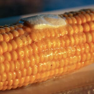 cooked corn with pat of butter.