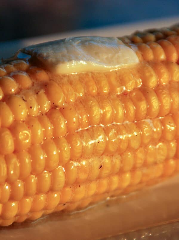 cooked corn with pat of butter.