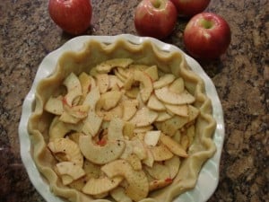 sliced apples in pie shell.