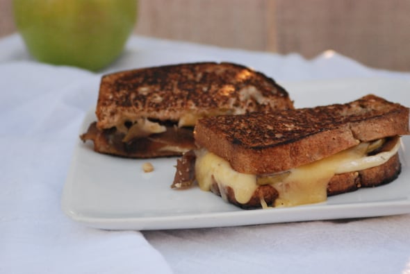Grilled Brie Cheese Sandwiches from Zestuous