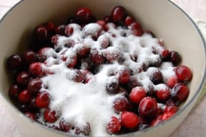 cranberries covered in sugar.