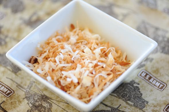 Shredded Paper (Toasted Coconut)