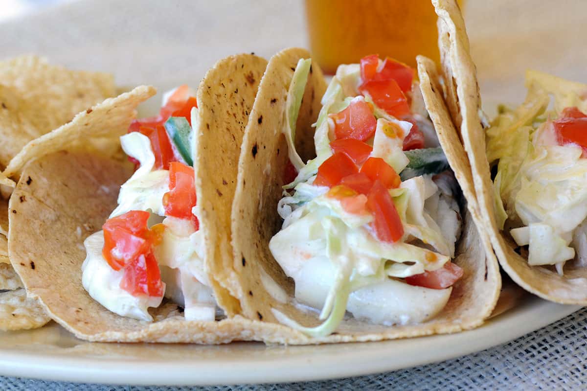 close up of grilled fish tacos.