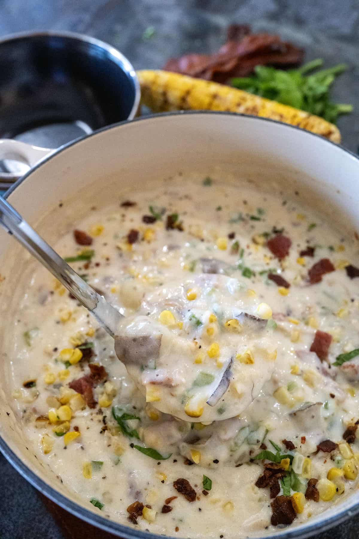 Spoon full of corn chowder.