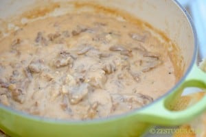Philly Cheesesteak Dip from Zestuous
